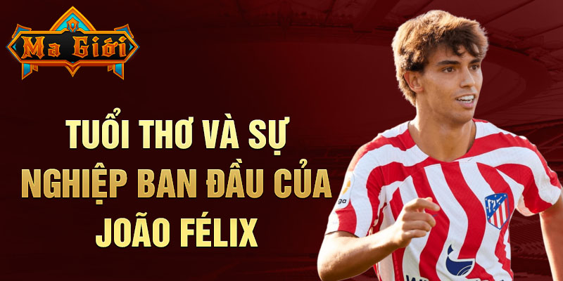 Tuổi thơ và sự nghiệp ban đầu của joão félix