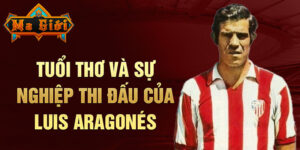 Tuổi thơ và sự nghiệp thi đấu của luis aragonés