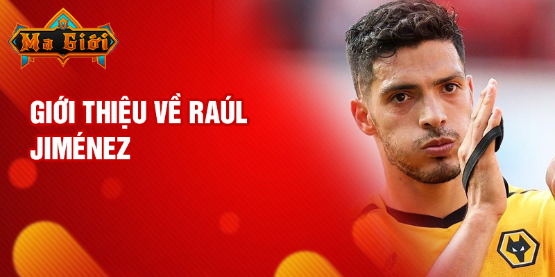 Giới thiệu về Raúl Jiménez